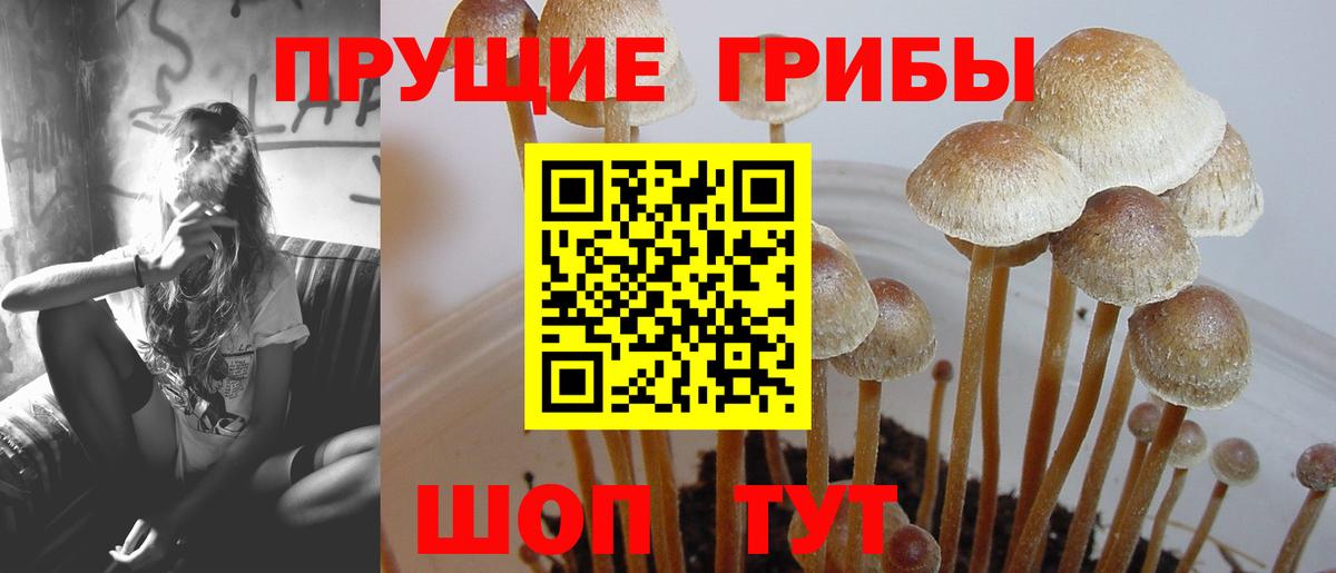 Псилоцибиновые грибы Magic Shrooms Фролово