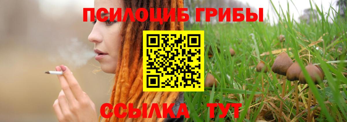 Фролово  Псилоцибиновые грибы ЛСД  Вход с VPN 